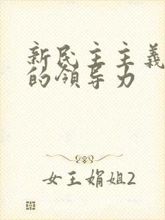 新民主主义革命的领导力