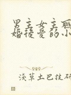 男主女主联姻先婚后爱的小说