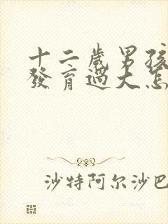 十二岁男孩乳房发育过大怎么办