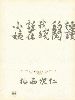 小说我的极品小姨在线阅读