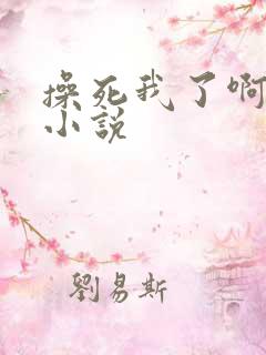 操死我了啊啊啊小说