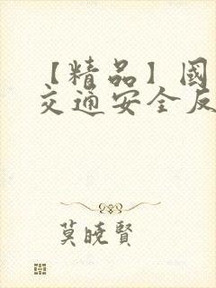 【精品】国家《交通安全反思日》专题ppt