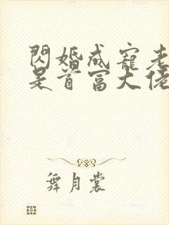 闪婚成宠老公竟是首富大佬