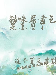 猫咪尿黄色的尿是怎么了