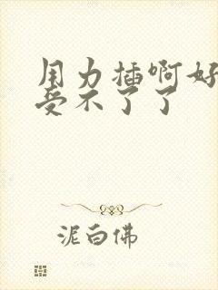 用力插啊好爽啊受不了了