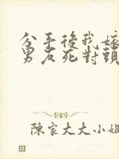 分手后我嫁给前男友死对头小说阅读