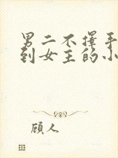 男二不择手段得到女主的小说