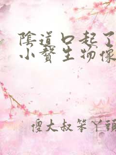 阴道口起了好多小赘生物像小米粒