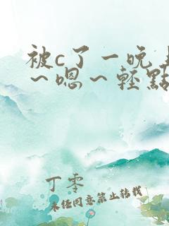 被c了一晚上啊~嗯~轻点