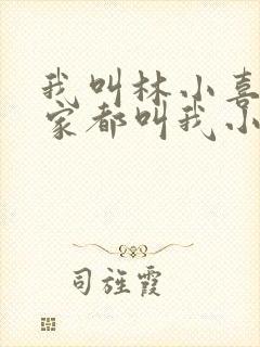 我叫林小喜 大家都叫我小喜小说