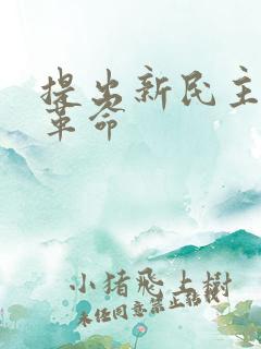 提出新民主主义革命