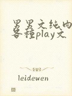 男男文纯肉高h各种play文