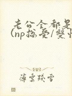 老公全都是兽人(np总受/双性)