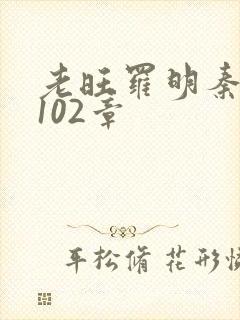 老旺罗明秦雨的102章