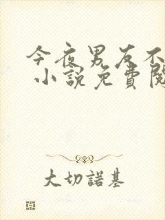 今夜男友不在家 小说免费阅读全文