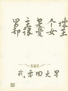 男主是个坏人,却很爱女主