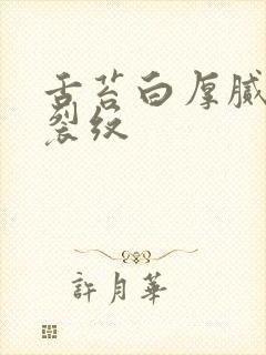 舌苔白厚腻中竖裂纹