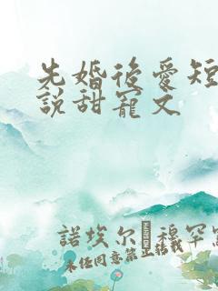 先婚后爱短篇小说甜宠文