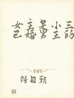 女主是小三勾搭已婚男主的文