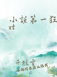 小说第一狂妃txt