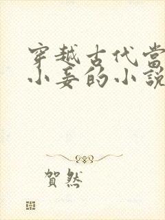 穿越古代当外室小妾的小说