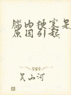 脑内梗塞是什么原因引起