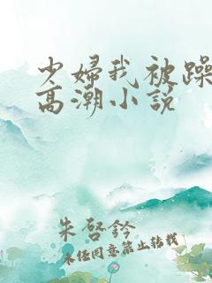 少妇我被躁爽到高潮小说