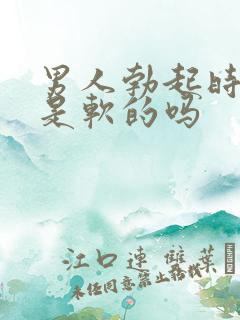 男人勃起时龟头是软的吗