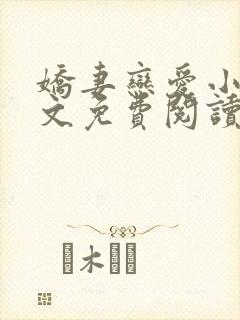 娇妻恋爱小崔全文免费阅读