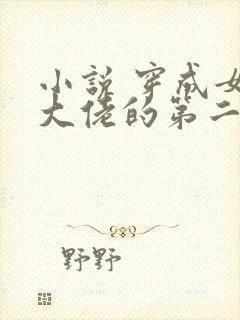 小说 穿成女装大佬的第二人格