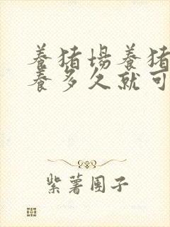 养猪场养猪一般养多久就可以卖了