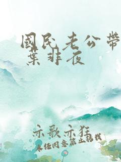 国民老公带回家 叶非夜