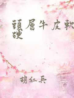 头层牛皮软还是硬