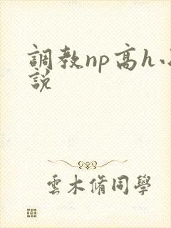调教np高h小说