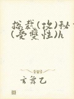 总裁(攻)秘书(受双性)h