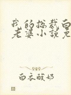 我的总裁白富美老婆小说免费讲述