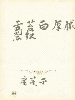 舌苔白厚腻中竖裂纹