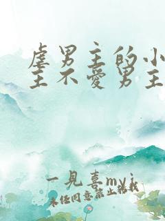 虐男主的小说女主不爱男主