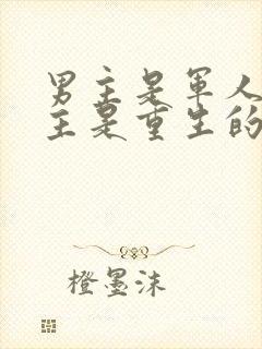 男主是军人,女主是重生的小说