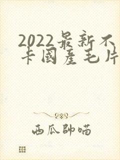 2022最新不卡国产毛片
