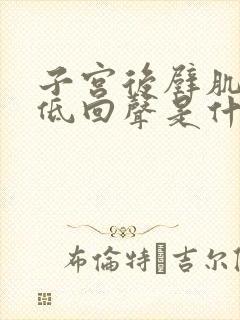 子宫后壁肌层内低回声是什么意思