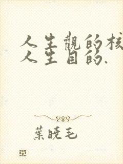 人生观的核心是人生目的.