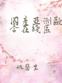 国产亚洲欧美综合在线区