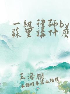 一级律师by木苏里讲什么