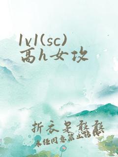1v1(sc)高h女攻