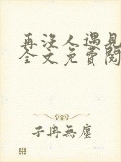 再没人遇见小说全文免费阅读