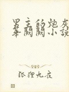 男主的炮灰前妻华阙阙小说海棠