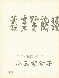 萧云野沈昭宁小说免费阅读最新章节