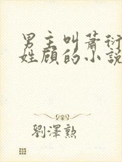 男主叫萧衍女主姓顾的小说