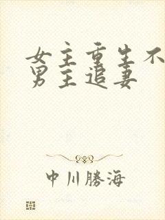 女主重生不爱了男主追妻